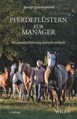 Pferdeflstern fr Manager 1