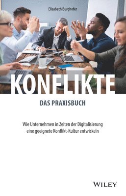 bokomslag Konflikte - das Praxisbuch