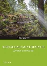 bokomslag Wirtschaftsmathematik anwenden und verstehen