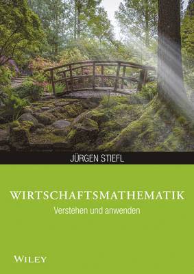 Wirtschaftsmathematik anwenden und verstehen 1