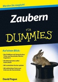 bokomslag Zaubern fr Dummies