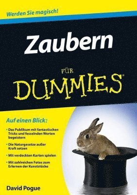 Zaubern fr Dummies 1