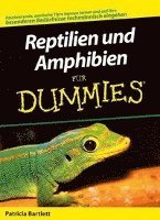 bokomslag Reptilien und Amphibien fur Dummies