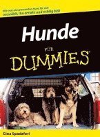 bokomslag Hunde Fur Dummies