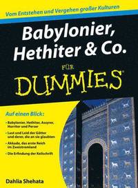 bokomslag Babylonier, Hethiter und Co. fr Dummies