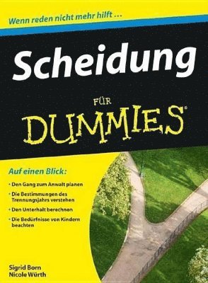 bokomslag Scheidung fr Dummies