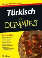 bokomslag Turkisch fur Dummies