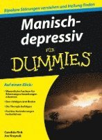 bokomslag Manisch-depressiv fr Dummies