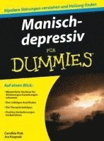 Candida Fink, Joe Kraynak - Manisch-depressiv für Dummies, Häftad