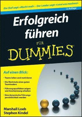 bokomslag Erfolgreich fuhren fur Dummies