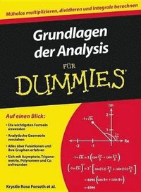 bokomslag Grundlagen der Analysis fr Dummies