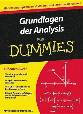 Krystle Rose Forseth, Christopher Burger, Michelle Rose Gilman, Deborah J. Rumsey - Grundlagen der Analysis für Dummies, Häftad