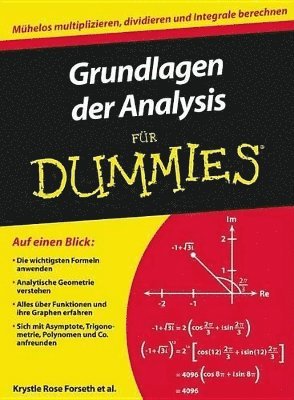 Grundlagen der Analysis fr Dummies 1