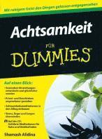 Achtsamkeit fur Dummies 1