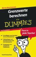 bokomslag Grenzwerte berechnen fr Dummies Das Pocketbuch