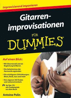 Gitarrenimprovisationen fur Dummies 1
