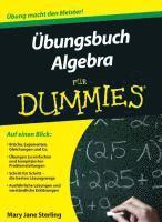 bokomslag Ubungsbuch Algebra fur Dummies