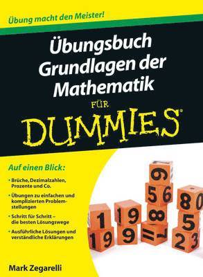 bokomslag UEbungsbuch Grundlagen der Mathematik fur Dummies