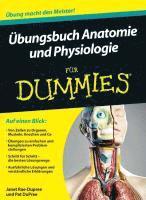 bokomslag UEbungsbuch Anatomie und Physiologie fur Dummies