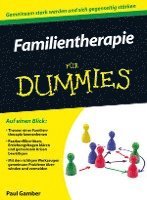 bokomslag Familientherapie fur Dummies