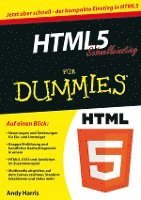 bokomslag HTML5 Schnelleinstieg fur Dummies