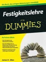 James H. Allen III - Festigkeitslehre für Dummies, Häftad