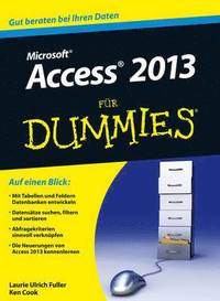 bokomslag Access 2013 fur Dummies