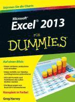 bokomslag Excel 2013 fur Dummies