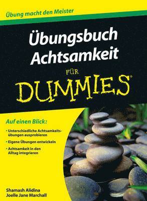 bokomslag bungsbuch Achtsamkeit fr Dummies