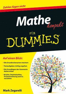 bokomslag Mathe kompakt fur Dummies