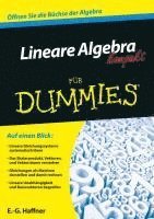 bokomslag Lineare Algebra kompakt für Dummies