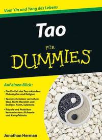 bokomslag Tao fr Dummies