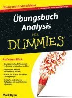 bokomslag bungsbuch Analysis fr Dummies