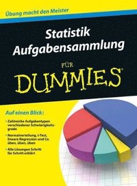 bokomslag Statistik Aufgabensammlung fr Dummies