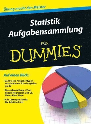 Wiley - Statistik Aufgabensammlung für Dummies, Häftad