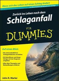 bokomslag Zurck ins Leben nach dem Schlaganfall fr Dummies