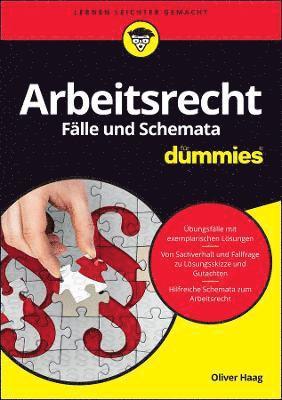 Oliver Haag - Arbeitsrecht Fälle und Schemata für Dummies, Häftad