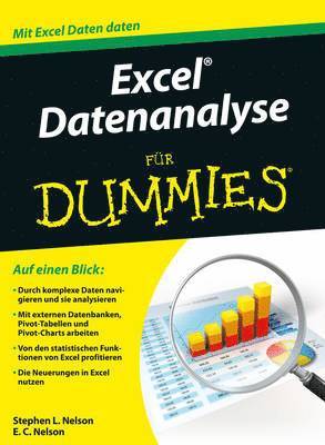 bokomslag Excel Datenanalyse fr Dummies