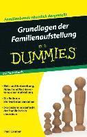 bokomslag Grundlagen der Familienaufstellung fur Dummies Pocketbuch