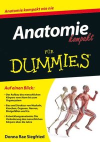 bokomslag Anatomie kompakt fur Dummies