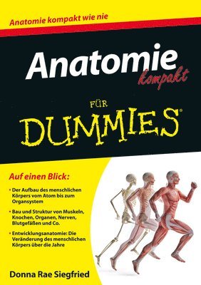 Anatomie kompakt fur Dummies 1