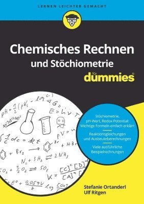 bokomslag Chemisches Rechnen und Stchiometrie fr Dummies