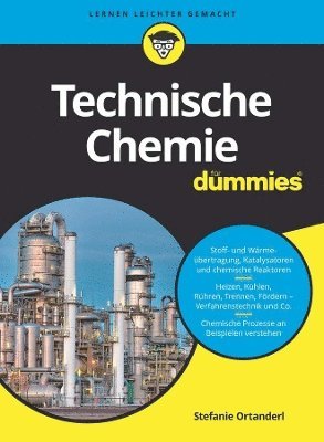 bokomslag Technische Chemie fr Dummies