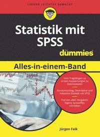 bokomslag Statistik mit SPSS Alles in einem Band fur Dummies