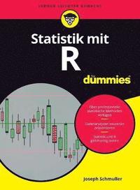 bokomslag Statistik mit R fur Dummies
