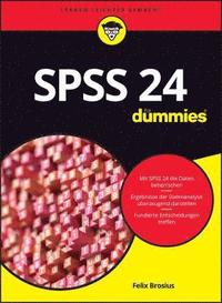 bokomslag SPSS 24 fr Dummies