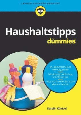 bokomslag Haushaltstipps fr Dummies