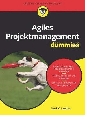Mark C. Layton, Steven J. Ostermiller - Agiles Projektmanagement für Dummies, Häftad