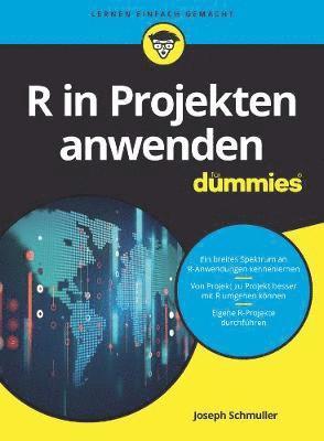 bokomslag R in Projekten anwenden fr Dummies