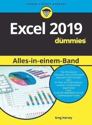 Greg Harvey - Excel 2019 Alles-in-einem-Band für Dummies, Häftad